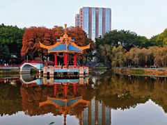 -金砂公园
