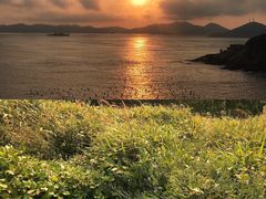 -枸杞岛