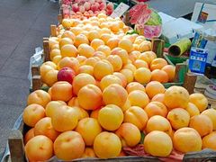 -沈阳市八家子水果批发市场