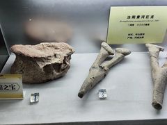 -河南自然博物馆
