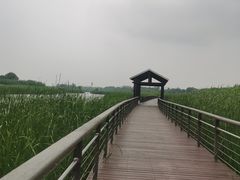 -苏州太湖湖滨国家湿地公园