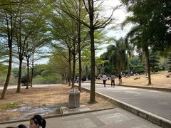 -广东茂名森林公园