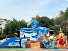 -上海玛雅海滩水公园