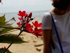 -东澳岛