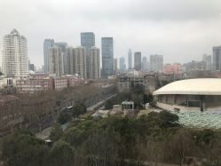 -海豚湾高端月子会所(黄浦店)