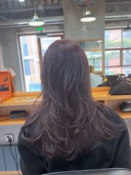 -竹马造型工作室