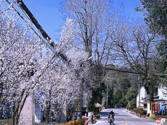-鼓岭旅游度假区