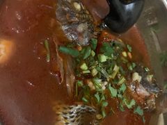 -风鑫铃罗非鱼(道沟店)