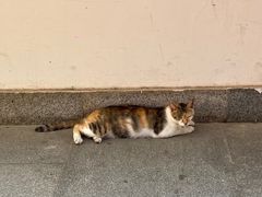 -宝通禅寺