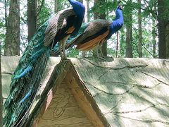 -昆山城市生态森林公园