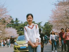 -武汉大学-樱园