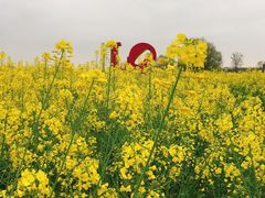 -国际非物质文化遗产博览园