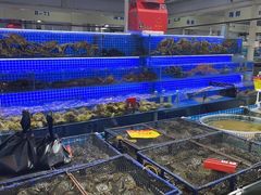 -三旗百汇商品城