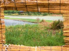 -华侨城湿地公园