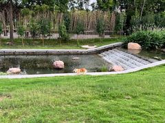 -洛阳市隋唐城遗址植物园