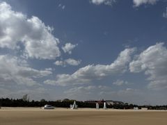 -山东八大碗山东老字号