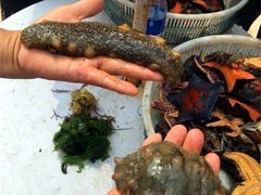 -东戴河风景区-止锚湾