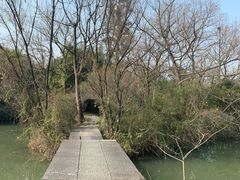 -西溪国家湿地公园