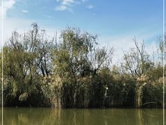 -处女泉风景名胜区