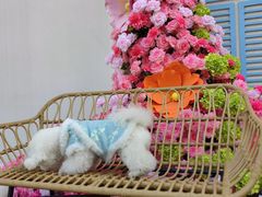 -星光摄影器材城