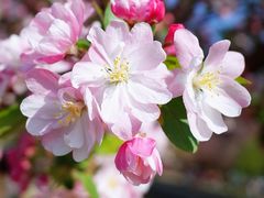 -海棠花溪(元大都城垣遗址公园)