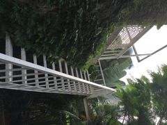 6号花园客栈-6号花园别墅酒店