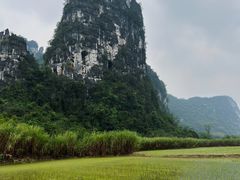 -明仕田园