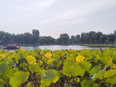 -小王府(什刹海店)