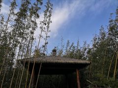 -石湖景区