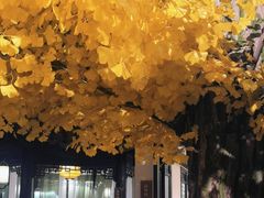 -江南韵·无锡太湖文化体验餐厅(凤凰天街店)