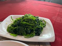 -麻奢鸽农庄·梦里水乡