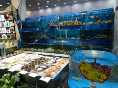 水产区-海岛渔村大酒店(云霄路店)