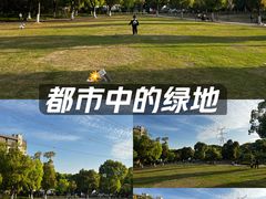 -颐景园