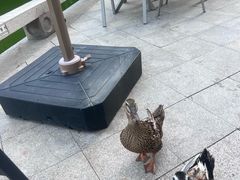 -花坞舫餐厅
