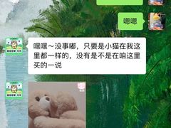 -小猫来了·猫舍(红山六九七九店)