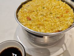 -丁老爷子苏香圆