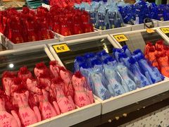 -猫咪博物馆(顶澳仔猫街店)