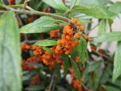 -汉中石门栈道景区