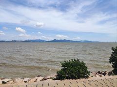 -深圳湾公园(南山区)