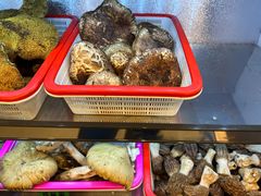 -菌海森林·非遗野生菌火锅(西山区滇池路摩根道店)