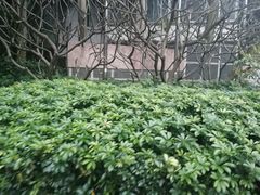 -荣和·中央公园