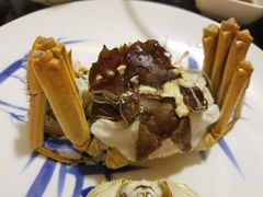 -黄记大闸蟹专卖店·活蟹·醉蟹