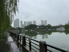 -月湖风景区