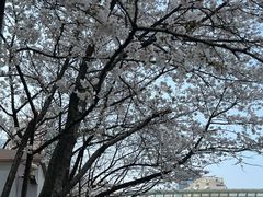 -荒岛实景沉浸密室(江汉路1店)
