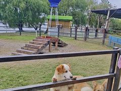 -长兴太湖图影湿地文化园