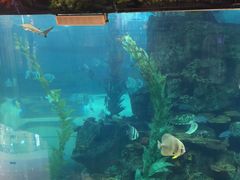 -鸿通城购物中心