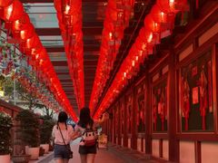 -新加坡佛牙寺龙华院