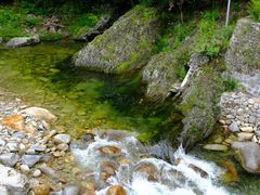 -黑河国家森林公园