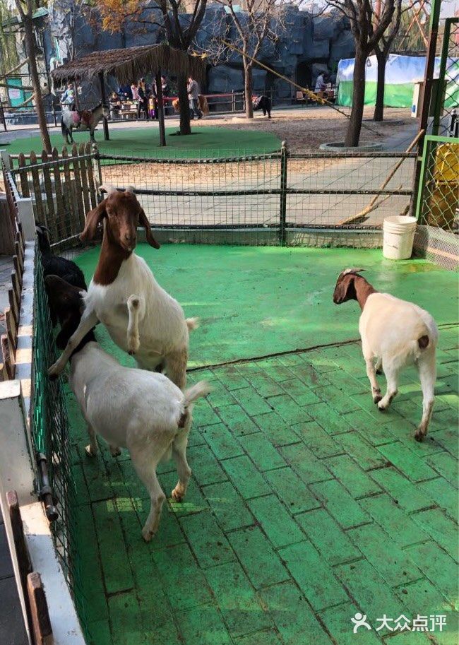 肥肠肥肠想出去玩