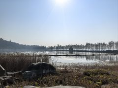 -东湖落雁景区